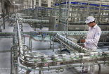 Vinamilk sắp hoạt động dây chuyền sữa tươi tại New Zealand